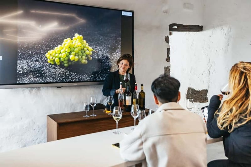 Wine Lovers: Wine Tasting Tour at El Grifo Bodega Lanzarote - Seeing Lanzarote through its grapevines