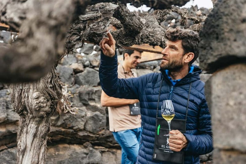 Wine Lovers: Wine Tasting Tour at El Grifo Bodega Lanzarote - Six wines, local cheese, and a practical tasting