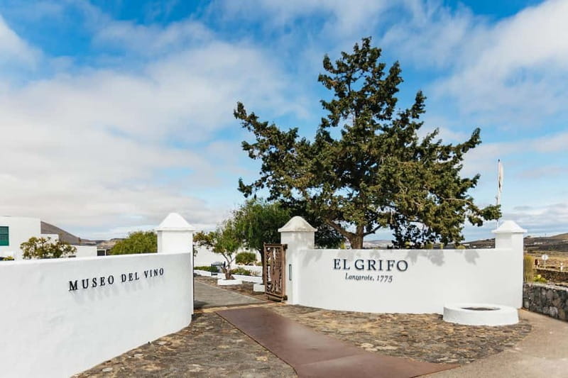 Wine Lovers: Wine Tasting Tour at El Grifo Bodega Lanzarote - What the small group changes