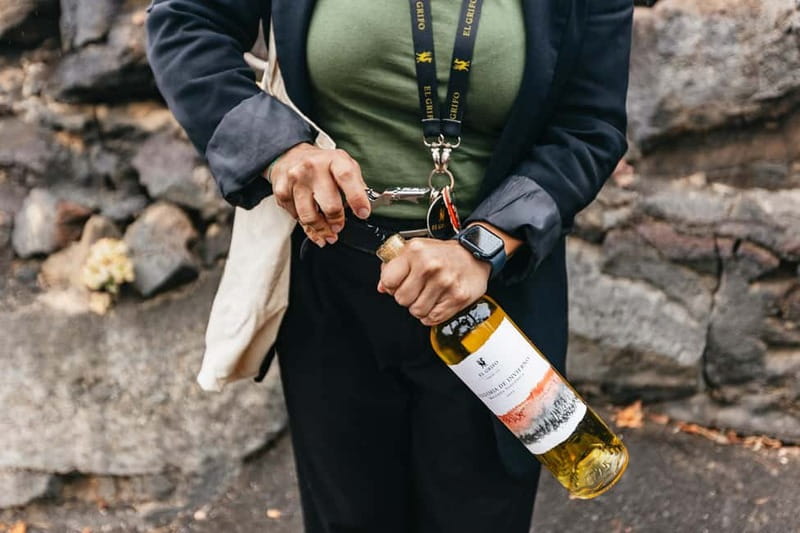 Wine Lovers: Wine Tasting Tour at El Grifo Bodega Lanzarote - What the tour does especially well