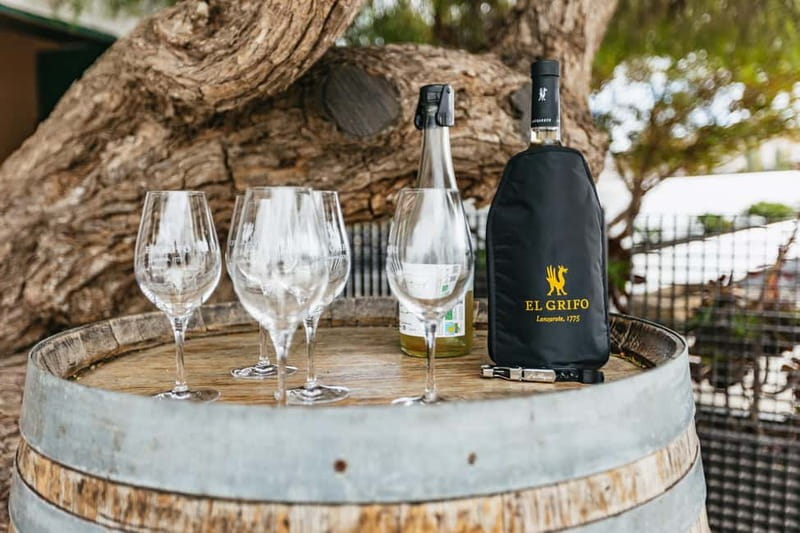 Wine Lovers: Wine Tasting Tour at El Grifo Bodega Lanzarote - Who will enjoy El Grifo most?