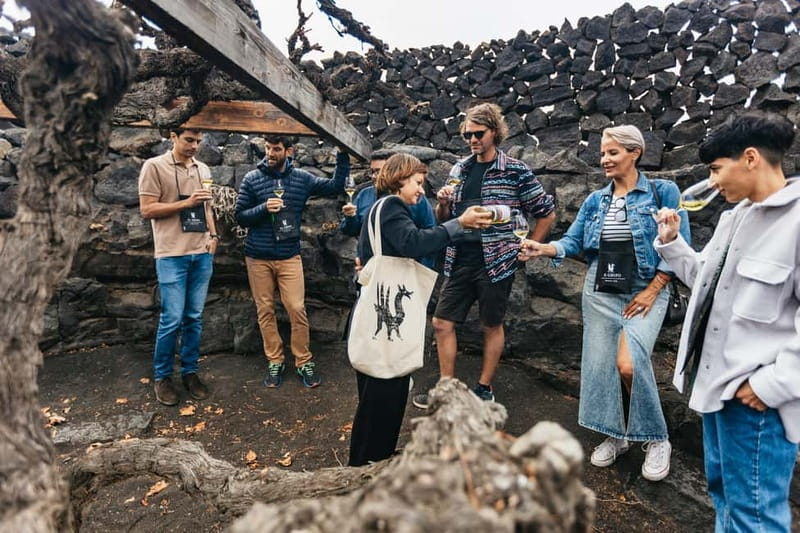 Wine Lovers: Wine Tasting Tour at El Grifo Bodega Lanzarote - Should you book this wine tour?