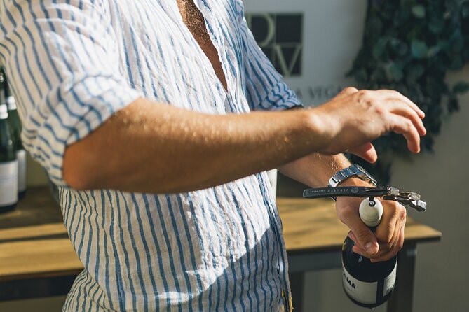 Wine Tasting Experience with a Professional Sommelier in Valencia City Center - Why this tasting is useful for learning Spanish wine